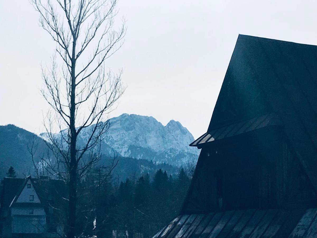 Willa Pod Gorami Zakopane Bagian luar foto