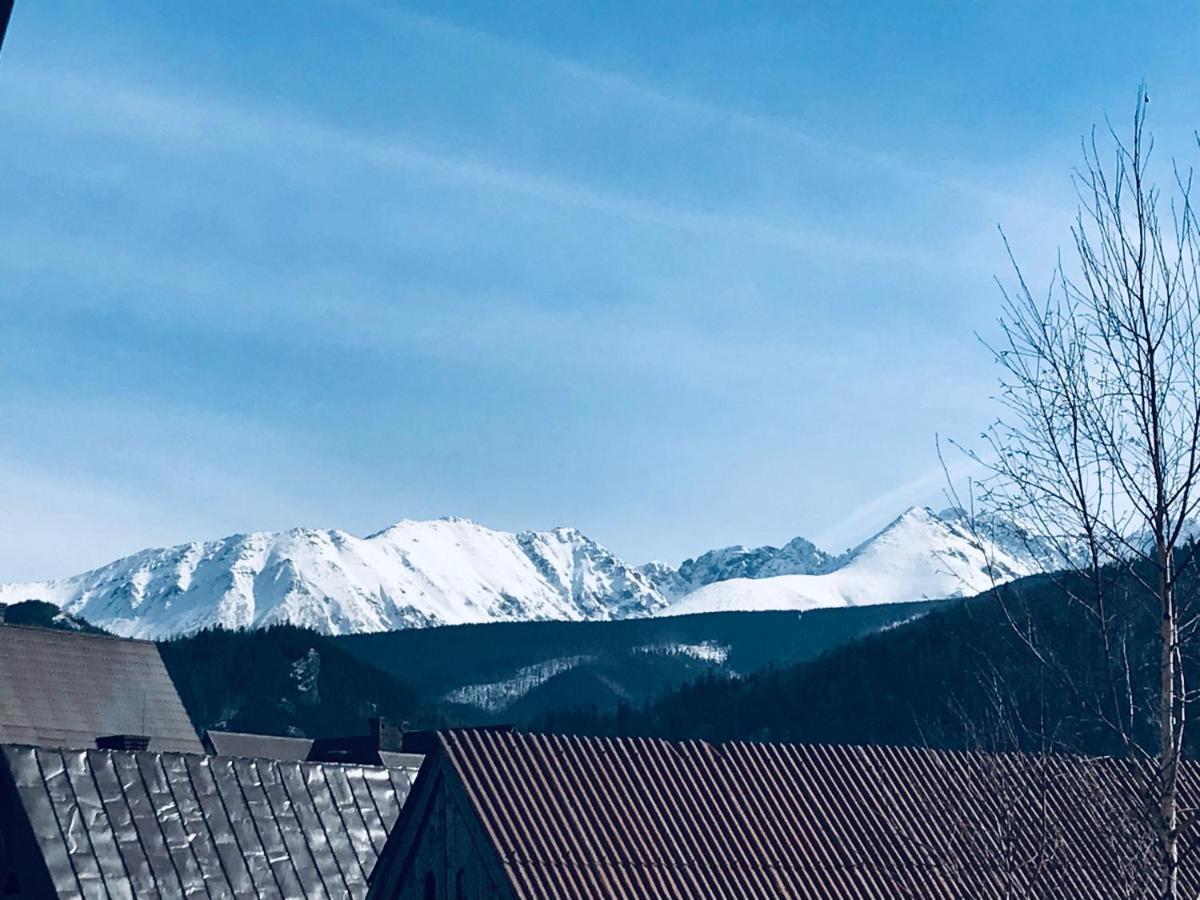 Willa Pod Gorami Zakopane Bagian luar foto