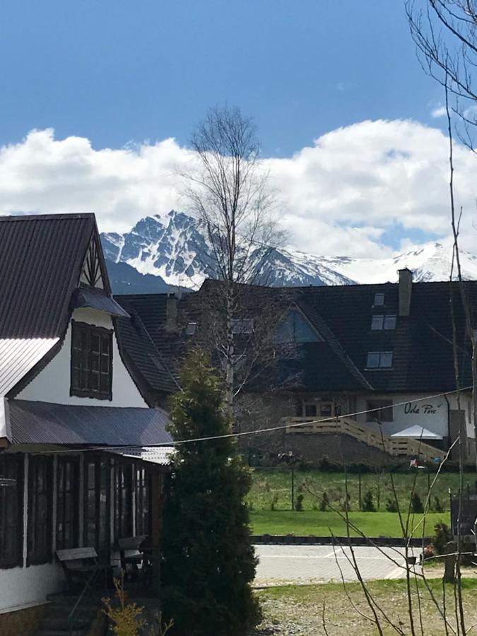 Willa Pod Gorami Zakopane Bagian luar foto