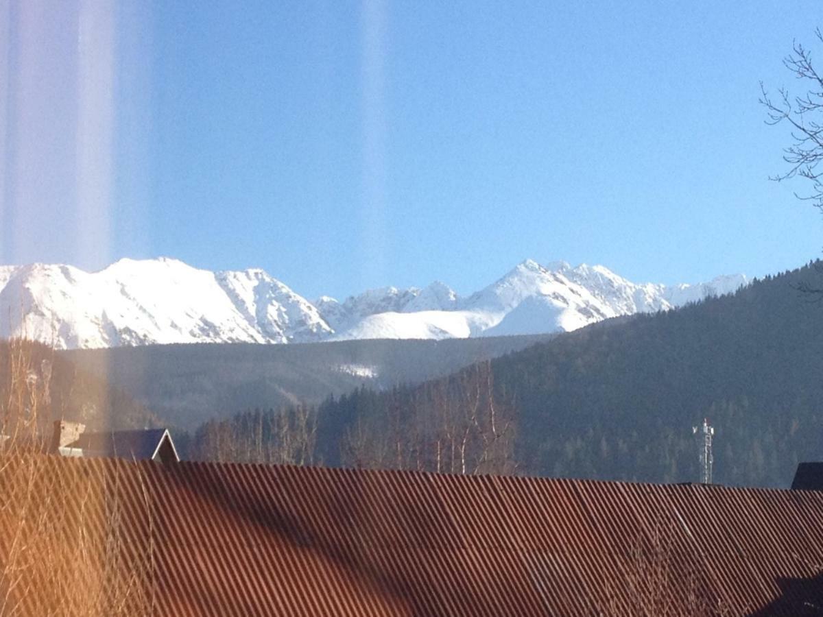 Willa Pod Gorami Zakopane Bagian luar foto